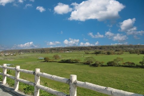 ラインでトリミング