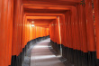 京都伏見稲荷大社の千本鳥居
