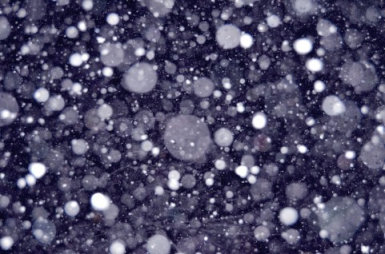 雪景色